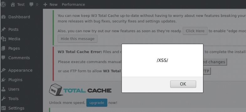 W3 Total Cache XSS security
